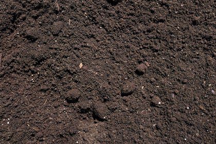 we-article-soil-cover-420×280