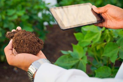 we-article-soil-sampling-cover-420×280