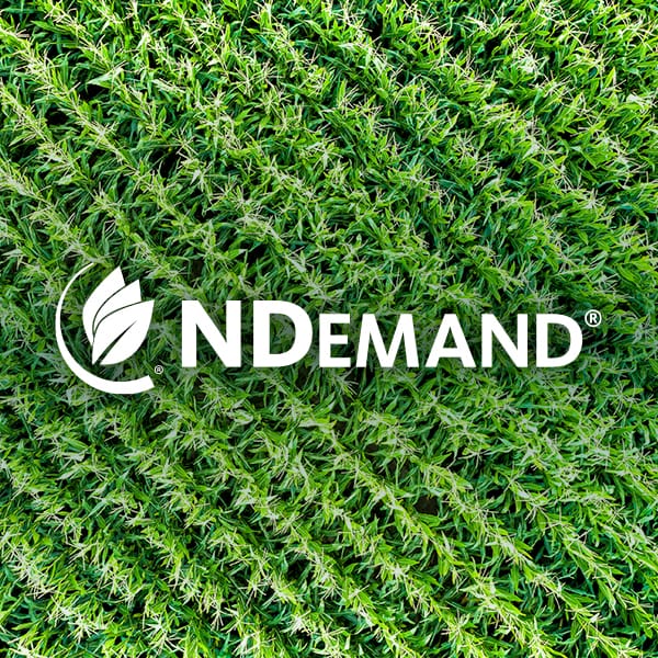 NDemand Logo over cornfield