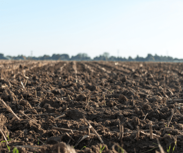 Soil Big The Importance of Soil Temperatures