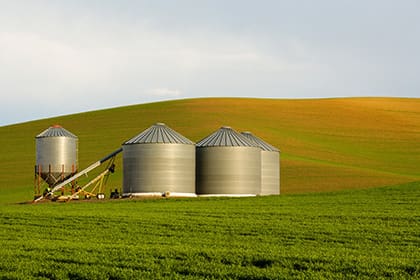 Grain bins and wheat field