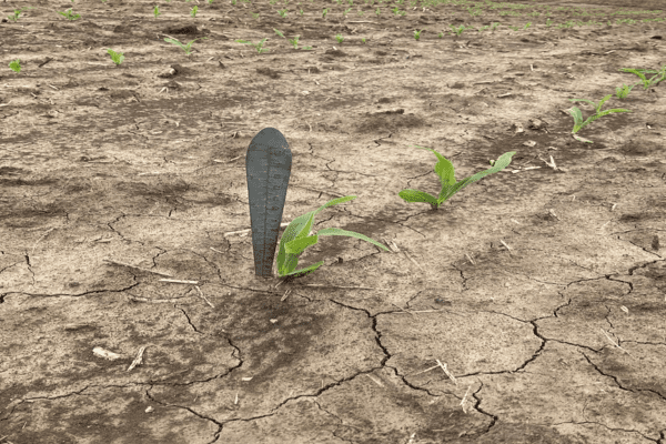 Update Crop Progress Update