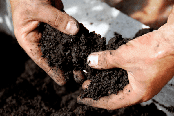 Soil (5)