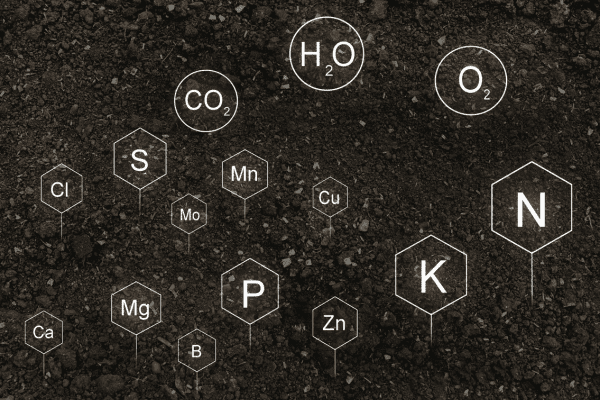 Soil Nutrients (1)