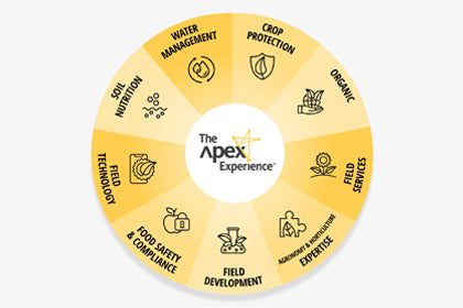The Apex Experience services